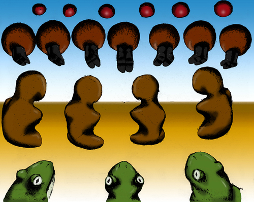 mau_ville's profile picture. diseñador gráfico