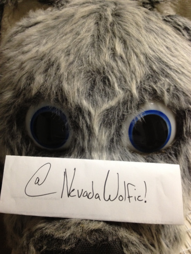 The OFFICIAL Wolfie Jr twitter!