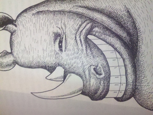 BookmanLogan's profile picture. 