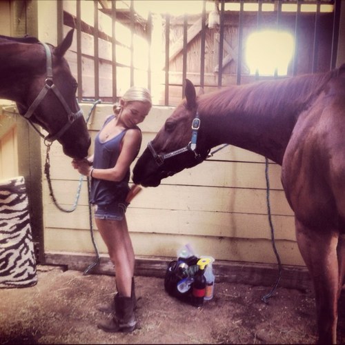 horse_eventer's profile picture. My horse = my life. Southern Cowgirl. Team Dodge. My man is the love of my life. BS degree in Animal Science and heading to Virginia for a MS in Surgery.