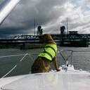 steve doughty - @sgdoughty - Twitter