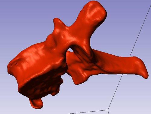 Functional Anatomy and Bio-mechanics Research Laboratory