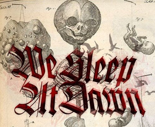 WeSleepAtDawn's profile picture. 