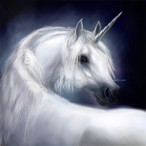 unicorn_4f's profile picture. Patience with Others is Love.
Patience with self is Hope.
Patience with God is Faith.