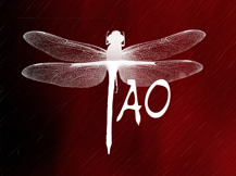 Theater Artists Olympia (TAO) is a collective of local artists committed to producing high quality theater. Like us on Facebook!