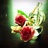 suzumamiiii's profile image