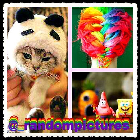 _randompictures's profile picture. één meisje die random dingen tweet. volg en je krijgt een gratis krabburger van spongebob :D sinds : 28-07-2012 #teamterugvolgen