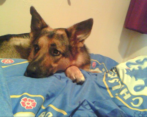 lowry233's profile picture. 