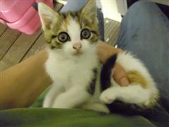 CoBuerger's profile picture. 