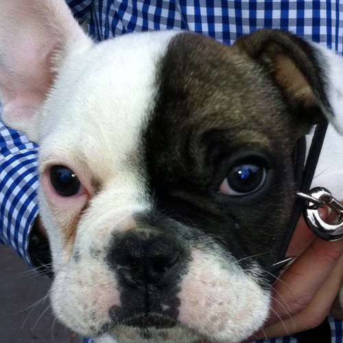 RicFalc's profile picture. 