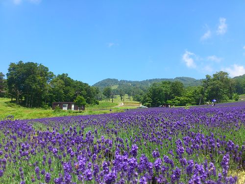 日々、楽しみつつ頑張るのみ〜♪初心忘れるべからず〜♬例の学校の1期生☆よろしくどうぞです♡