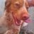 jayko3's profile image