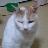 katsura777's profile image