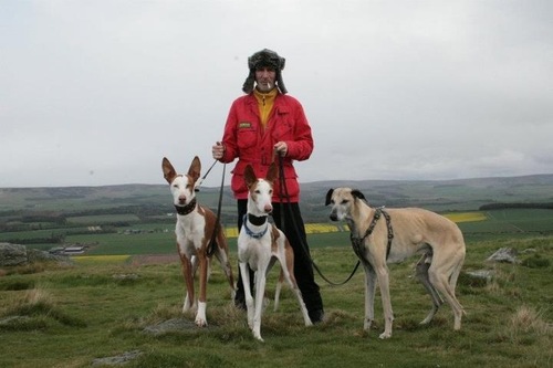 DavidHRamsden's profile picture. exdog.