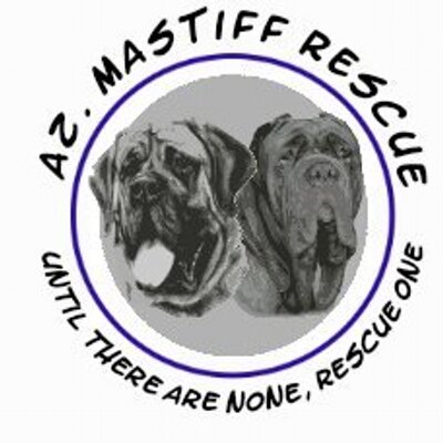 american mastiff rescue