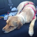 Juan Mato - @matocrito - Twitter