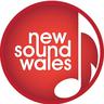 newsoundwales's profile picture. 