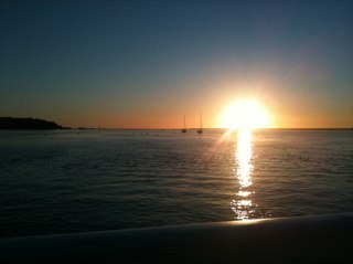 johnpoole44's profile picture. enjoy cooking grow my own and fish and shoot do a bit of forraging and love home cooking wine making and photography