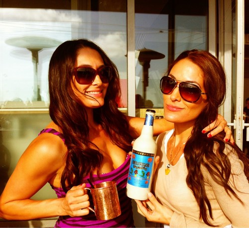 Bella Twins(Nicole&Bri) avid Fan:)#BellaArmy.These former Twin Divas is my Inspiration:)Ilove them.Follow them @nicoleandbri on twitter.