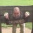 adambolton1805's profile image
