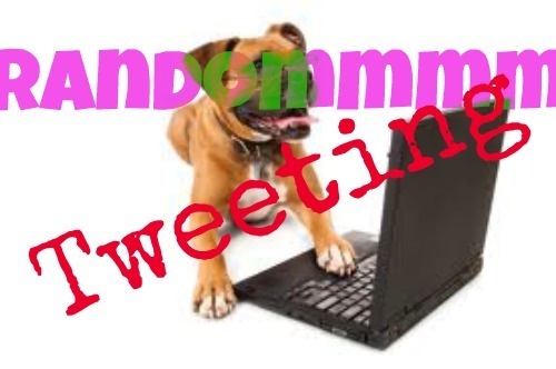 lovetweets, hatetweets, stupidtweets, drunktweets, phototweets, friendshiptweets, fun tweets etc.... RANDOMMMM TWEETING!!!!!