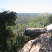 BluffParkAL (@bluffparkal) 's Twitter Profile