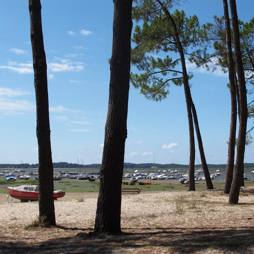 Infos autour d'Andernos et du bassin d'Arcachon par un habitant du bassin.