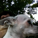 Moe Smith - @Smittymoe - Twitter