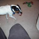 catherine brainerd - @daisyann39 - Twitter