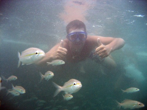 KurstiehR's profile picture. Student Small Business & Retail Management