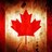 Lebrun74's profile image