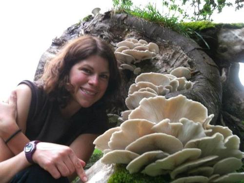 social enterprise, volunteers, sustainability...