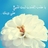 hudaabdulla2's profile image