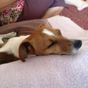 Brian roots - @Smegcurry - Twitter