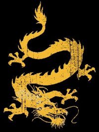 Premier League Dragon Boat Racing Team - based at The Docklands Watersport Centre. New & experienced paddlers come join us! #RagingDragons