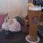 BeerPrincess13's profile image