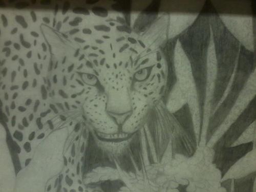 Visual Artist.