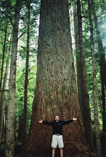 KellyMcCarrier's profile picture. #EBFG