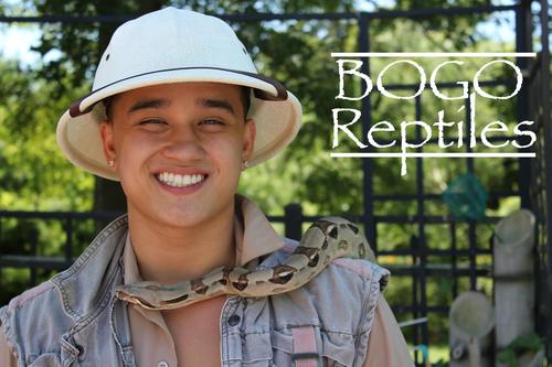 A Reptile breeding facility and host of the hit web-series WILD ADVENTUREZ! Check out our youtube videos!