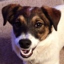 Colin Laing - @Eyupfella - Twitter