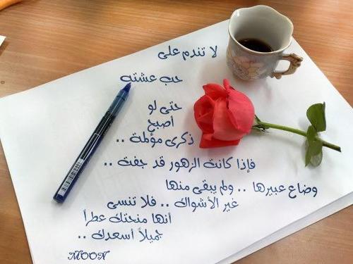 mohamed98844352's profile picture. 