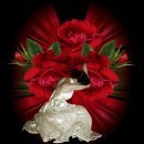 ‏‏الوحده أفضل من معاشرة ناس منافقه وكذابه