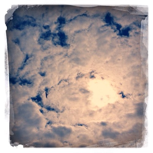 shiitmykidssay's profile picture. Outsassed and outnumbered by little people.