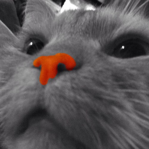 hairtwin2's profile picture. 