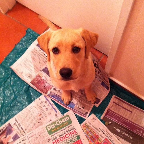 BruceDuBourg's profile picture. 