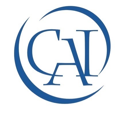The Capitol Archaeological Institute located at the George Washington University aims to protect cultural heritage while providing opportunities for students.