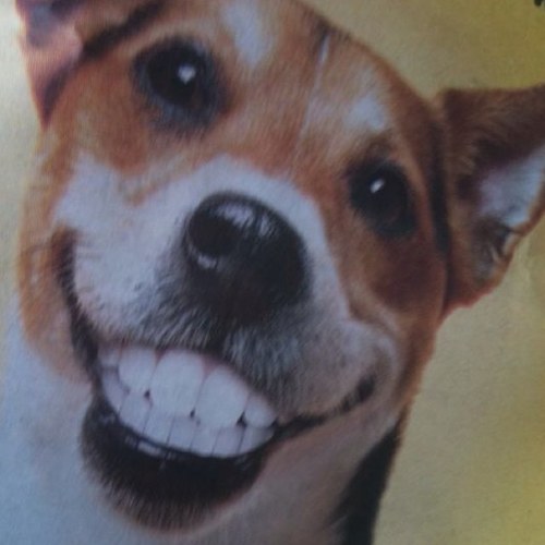 TobySkellern's profile picture. 