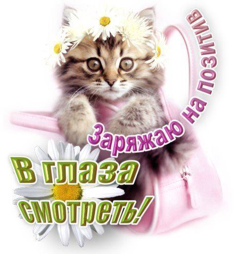 16margo68's profile picture. По образованию педагог и экономист. Интересы самые разносторонние. Люблю пообщаться с интересными людьми.