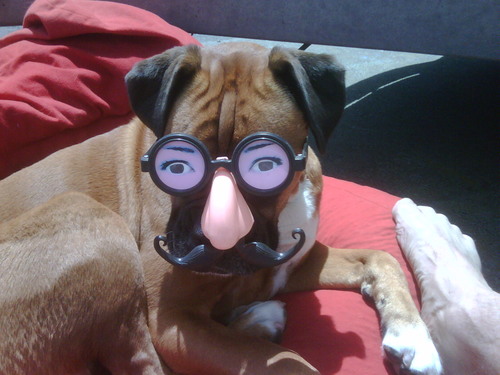 JohnFitzwaterNZ's profile picture. 