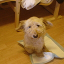 Paula Tomaš - @shunkara - Twitter